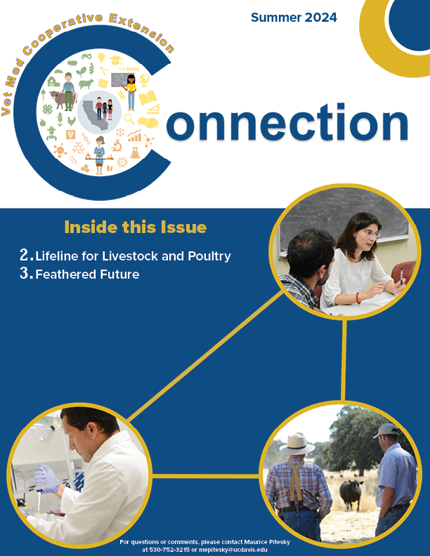 Cover Page of the Summer 2024 newsletter